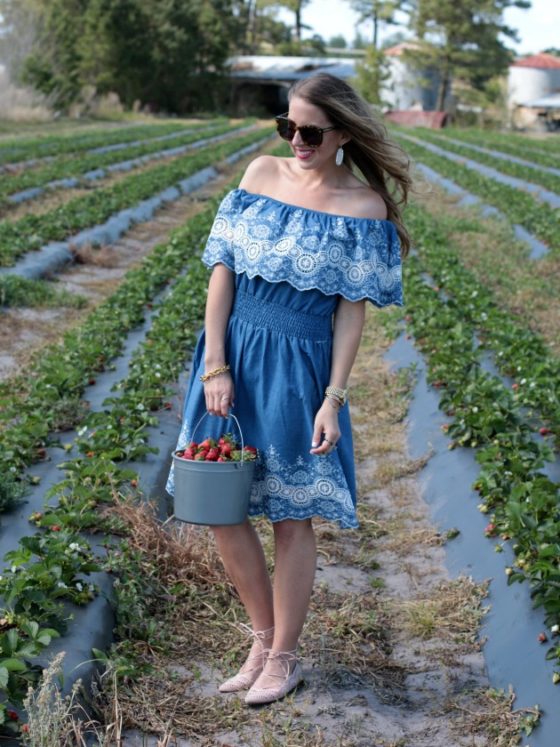 Off the Shoulder Embroidered Dress